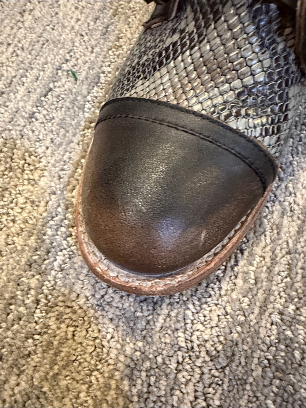 Freebird by Steven women’s Brown Leather & Snake-Print Chukka Boots - Picture 3 of 8